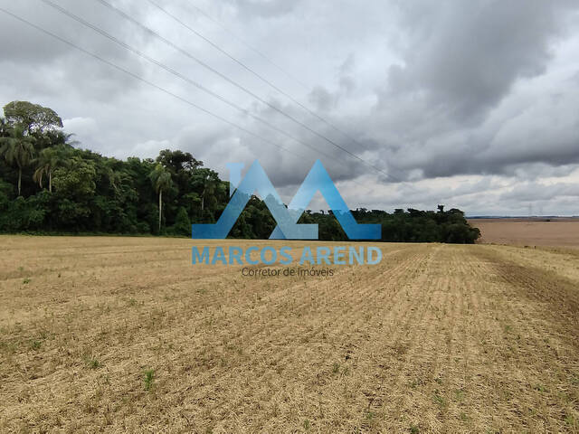 Área para Venda em Não-Me-Toque - 4