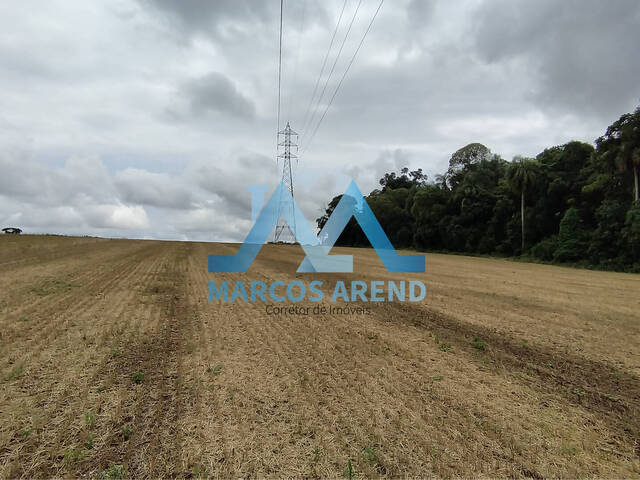 Área para Venda em Não-Me-Toque - 5