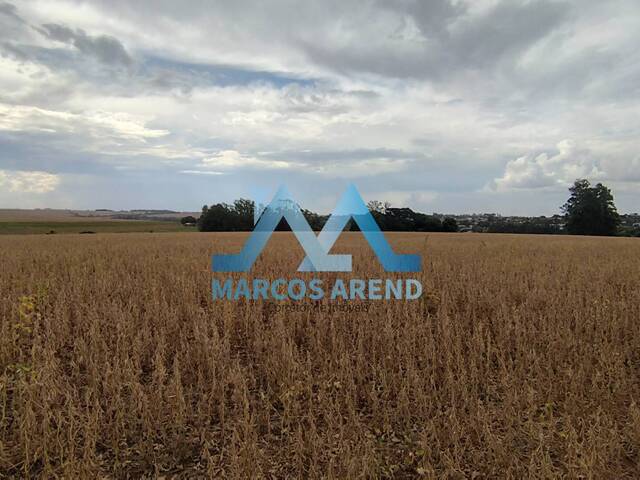 #276 - Terreno para Venda em Não-Me-Toque - RS - 3