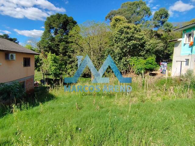 #301 - Terreno para Venda em Não-Me-Toque - RS - 1