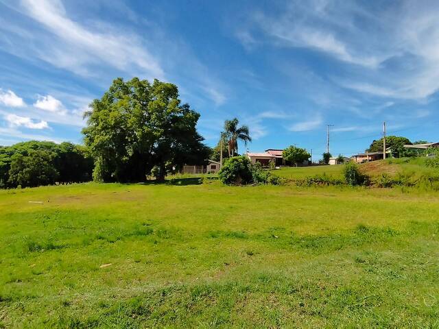 Terreno para Venda em Não-Me-Toque - 5