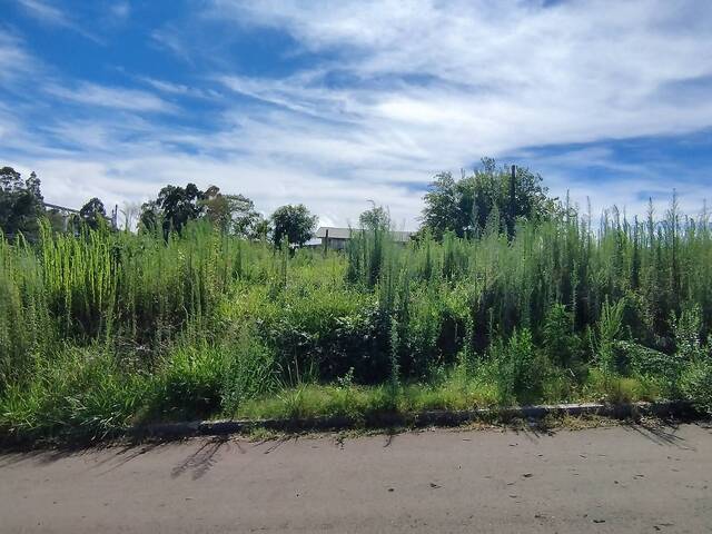 #305 - Terreno para Venda em Não-Me-Toque - RS - 3