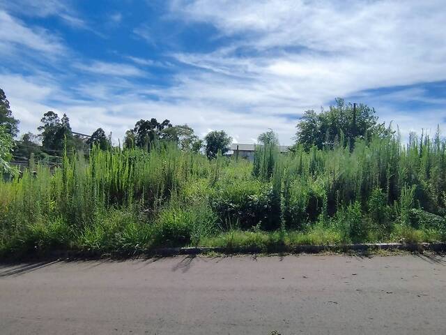 Terreno para Venda em Não-Me-Toque - 5
