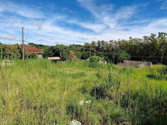 #305 - Terreno para Venda em Não-Me-Toque - RS - 1
