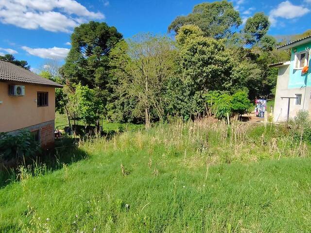 #301 - Terreno para Venda em Não-Me-Toque - RS - 1