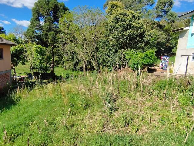 Terreno para Venda em Não-Me-Toque - 4