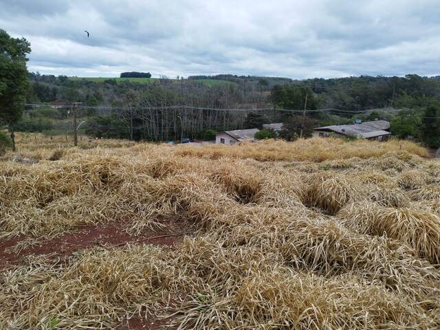 Terreno para Venda em Panambi - 5