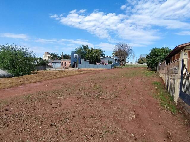 Terreno para Venda em Não-Me-Toque - 5