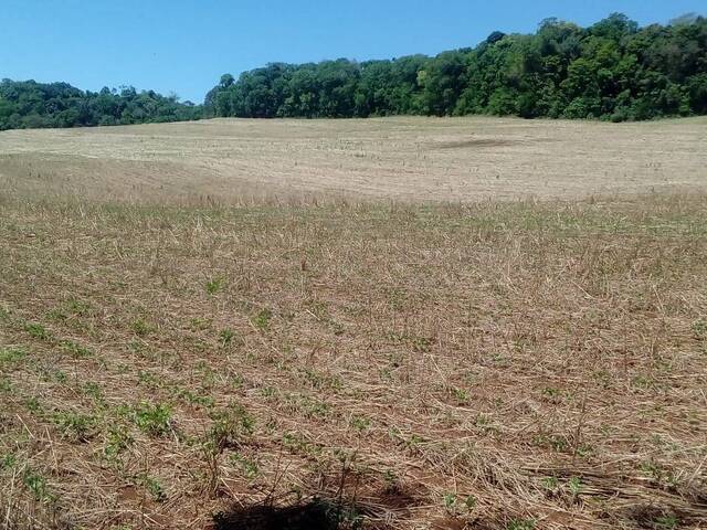 #3 - Área para Venda em Panambi - RS - 2