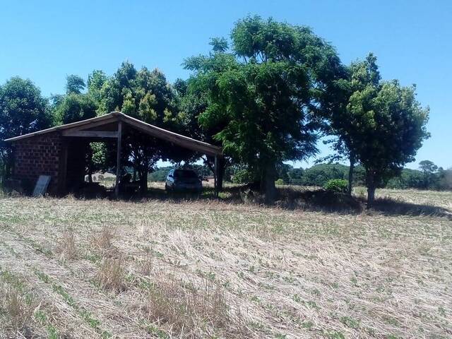 Área para Venda em Panambi - 4