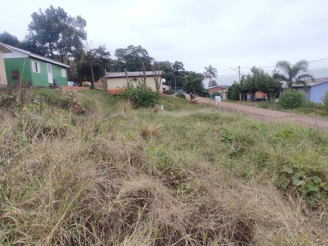 Terreno para Venda em Não-Me-Toque - 4