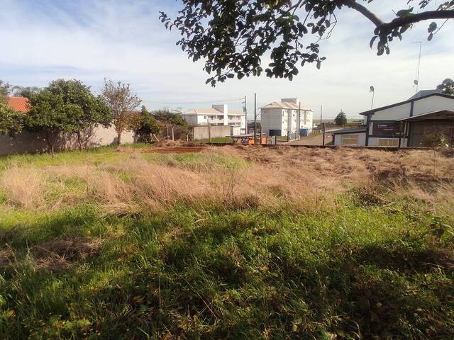 Terreno para Venda em Não-Me-Toque - 4