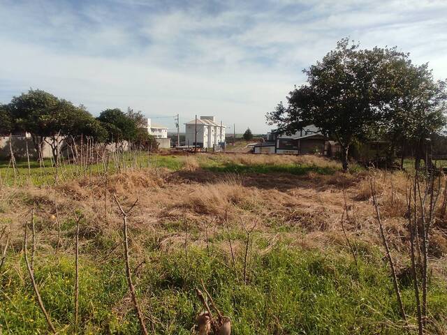 Terreno para Venda em Não-Me-Toque - 5