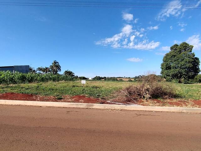 #172 - Terreno para Venda em Lagoa dos Três Cantos - RS - 2