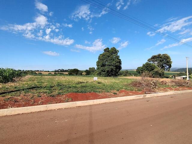 #172 - Terreno para Venda em Lagoa dos Três Cantos - RS - 3