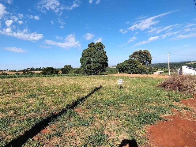 #172 - Terreno para Venda em Lagoa dos Três Cantos - RS - 1