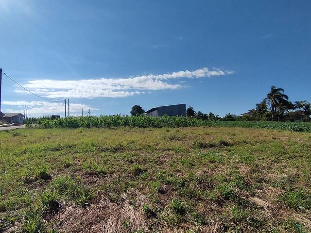 Terreno para Venda em Lagoa dos Três Cantos - 5