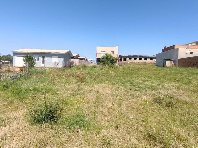 #174 - Terreno para Venda em Não-Me-Toque - RS - 2