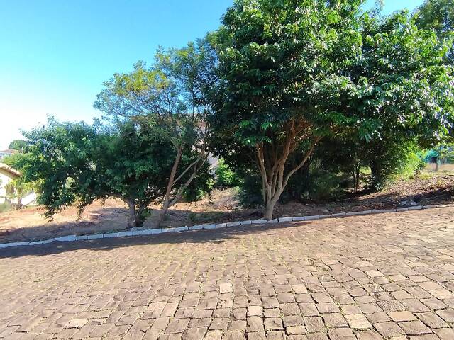 Terreno para Venda em Victor Graeff - 4