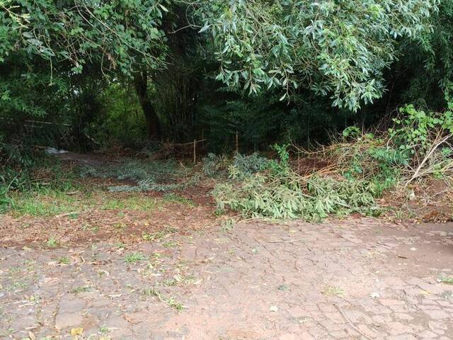 Terreno para Venda em Panambi - 4