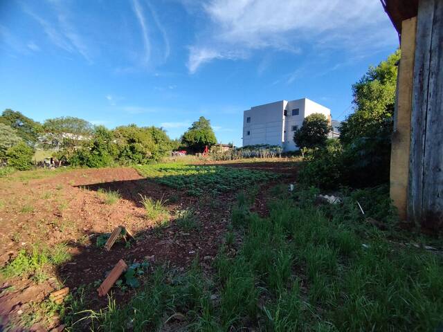 #251 - Terreno para Venda em Não-Me-Toque - RS - 1
