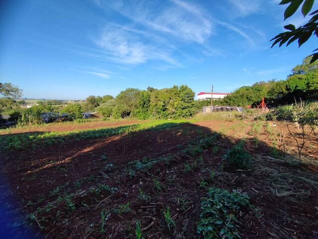Terreno para Venda em Não-Me-Toque - 4