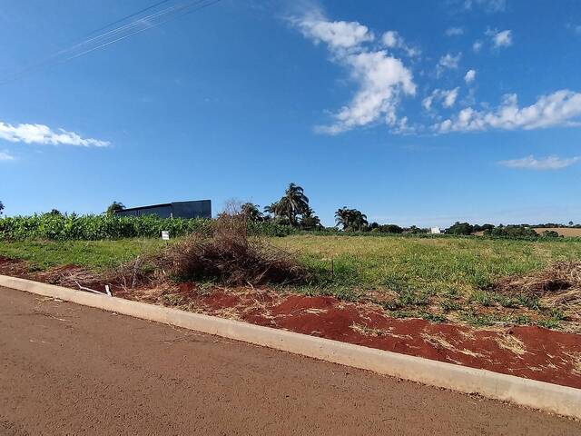 #235 - Terreno para Venda em Lagoa dos Três Cantos - RS - 3