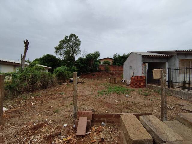 #253 - Terreno para Venda em Não-Me-Toque - RS - 2