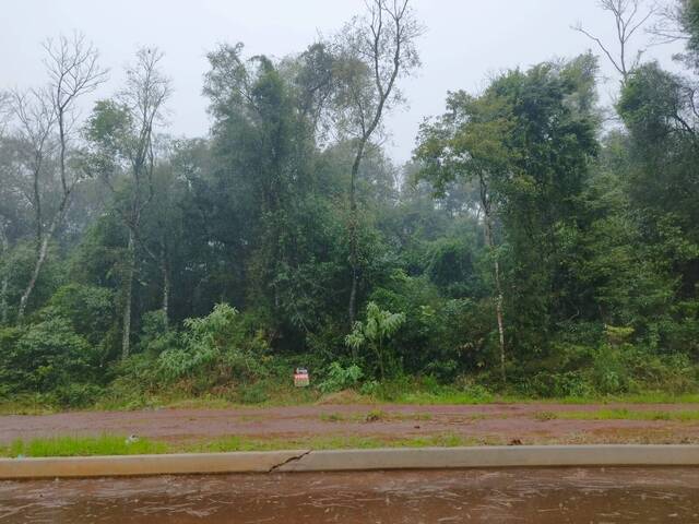 Venda em Parque Moinho Velho - Panambi