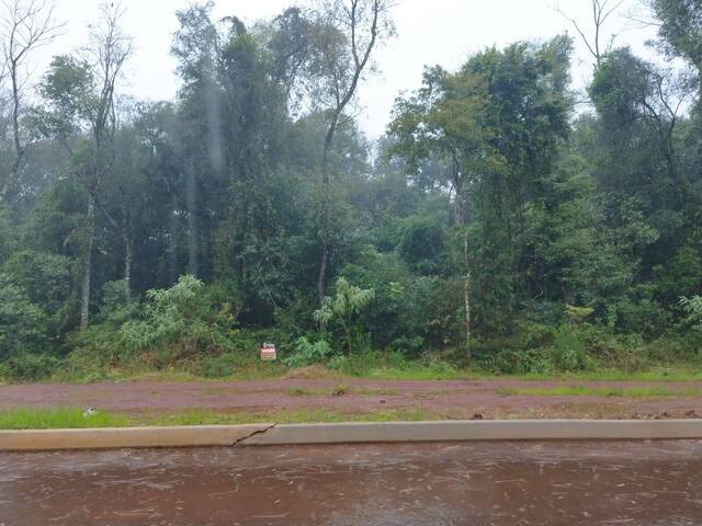 Terreno para Venda em Panambi - 2