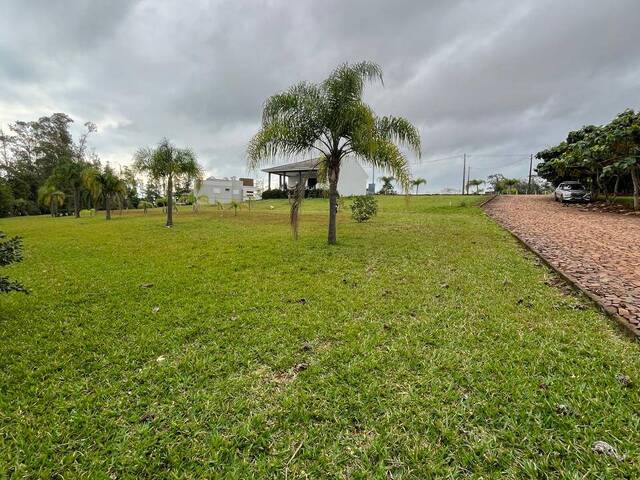 Terreno para Venda em Quinze de Novembro - 5